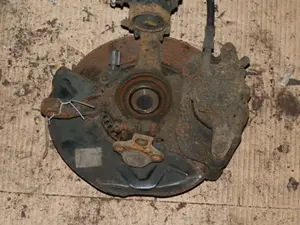 Federbein vorne links