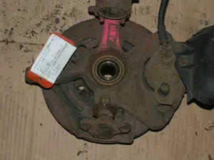 Federbein vorne links