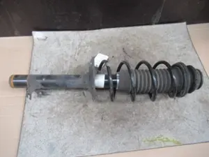 Federbein vorne rechts