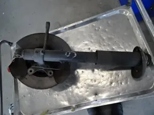 Federbein vorne links