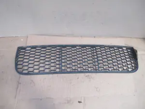 Stossstangengitter vorne