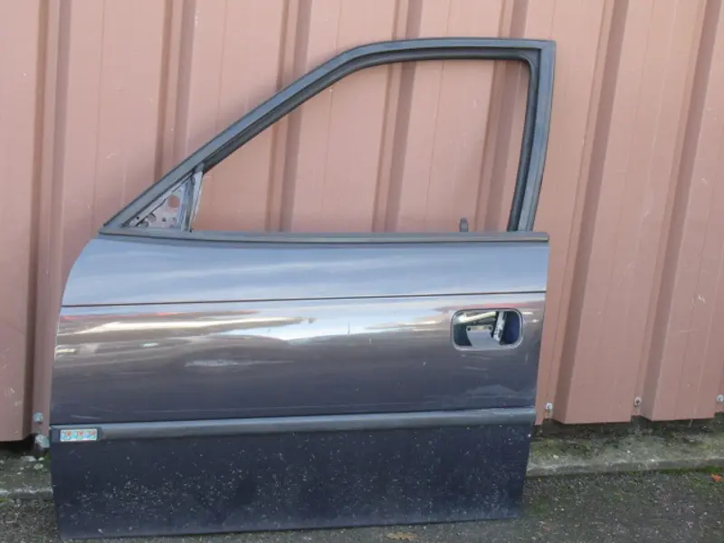 Porte avant gauche