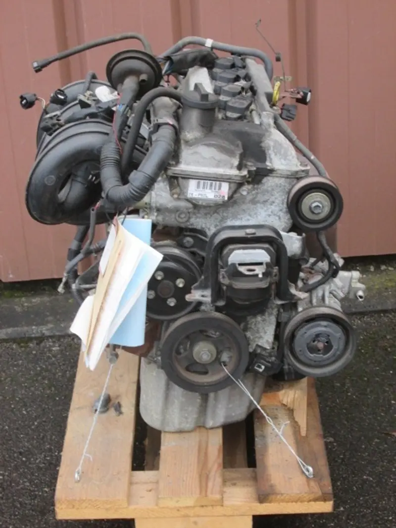 Motor
