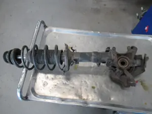 Federbein vorne links