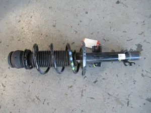 Federbein vorne links