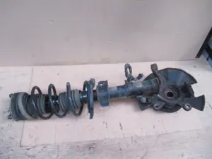 Federbein vorne links