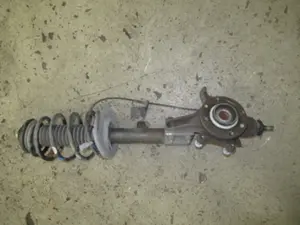 Federbein vorne links