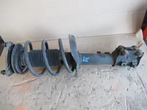 Federbein vorne links