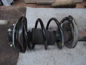 Federbein vorne links