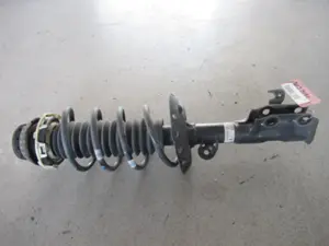 Federbein vorne links