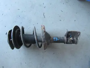 Federbein vorne links