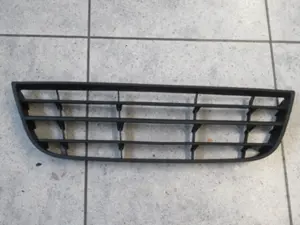 Stossstangengitter vorne