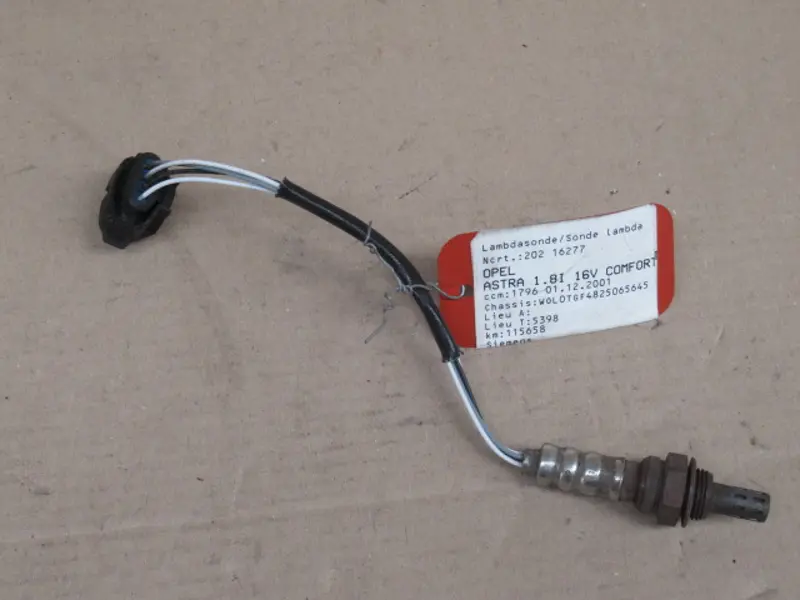 Sonde lambda