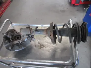 Federbein vorne links