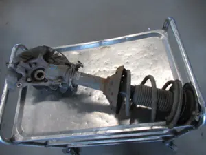 Federbein vorne rechts