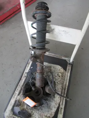 Federbein vorne links