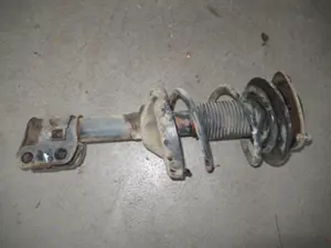 Federbein vorne links