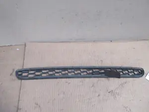 Stossstangengitter vorne