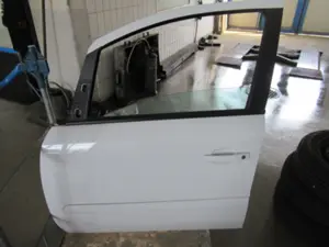 Porte avant gauche