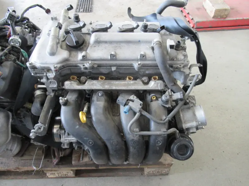Motor