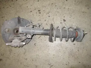 Federbein vorne links