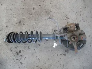 Federbein vorne links