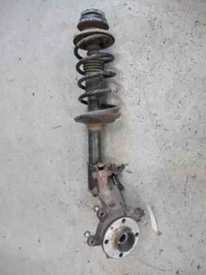 Federbein vorne links