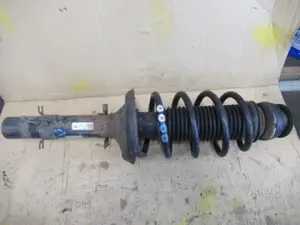 Federbein vorne rechts