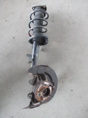 Federbein vorne links