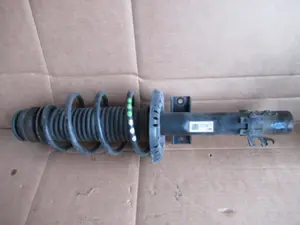 Federbein vorne rechts