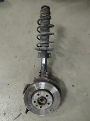 Federbein vorne links