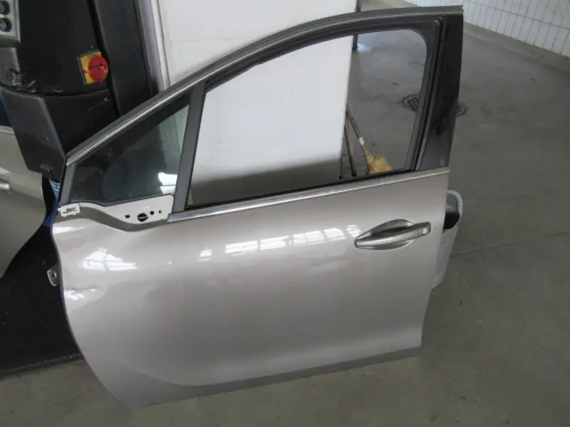 Porte avant gauche