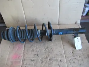 Federbein vorne links