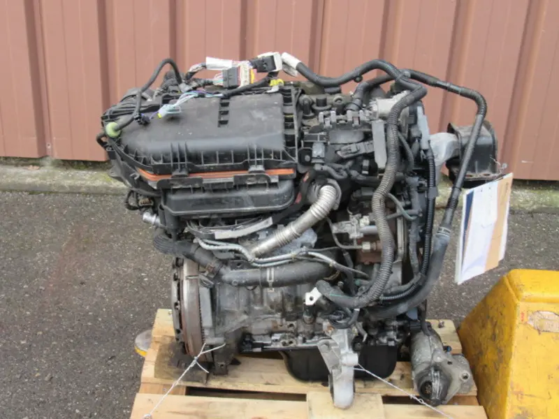 Motor