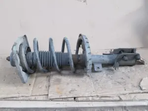 Federbein vorne links