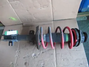 Federbein vorne links