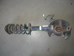 Federbein vorne links