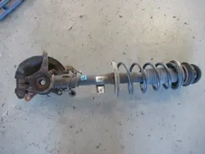 Federbein vorne links