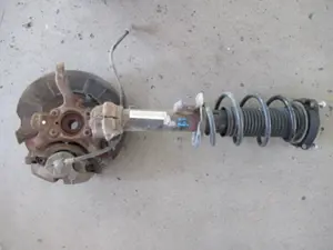 Federbein vorne links