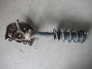 Federbein vorne links