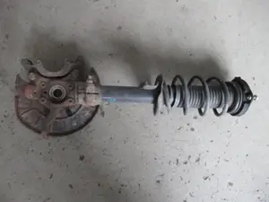 Federbein vorne rechts