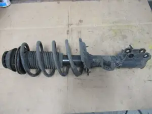 Federbein vorne links