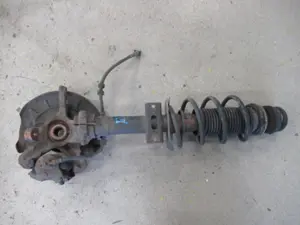 Federbein vorne links