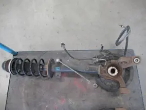 Federbein hinten links