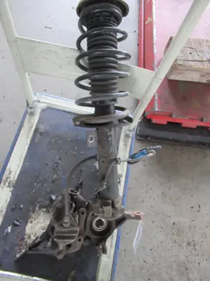 Federbein vorne rechts