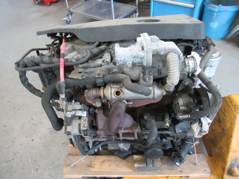 Motor