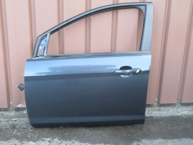Porte avant gauche
