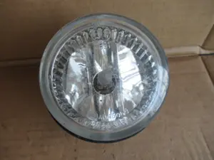 Nebellampe vorne links