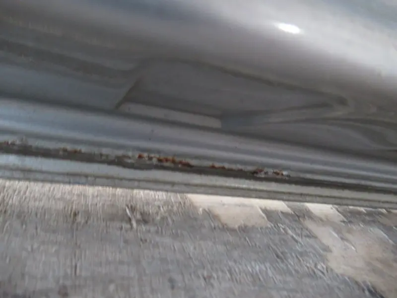 Porte droite (2/3 portes)