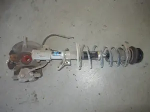 Federbein vorne links